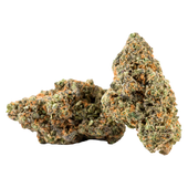 Rainbow Muffin (Black Maple: Dulce De Uva x Sherbanger) Rainbow Muffin (Black Maple: Dulce De Uva x Sherbanger)