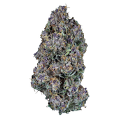 Triangle Queen (Triangle Kush x Queen of the South)