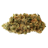 Big Pleasures - Powdered Donuts (Jet Fuel Gelato x Orange Cookies)