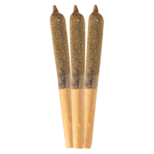 Mango Madness Infused Pre-Roll