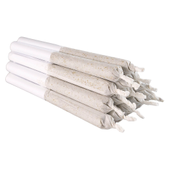 Jean Guy Pre-Roll