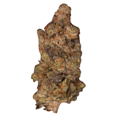 Zooted