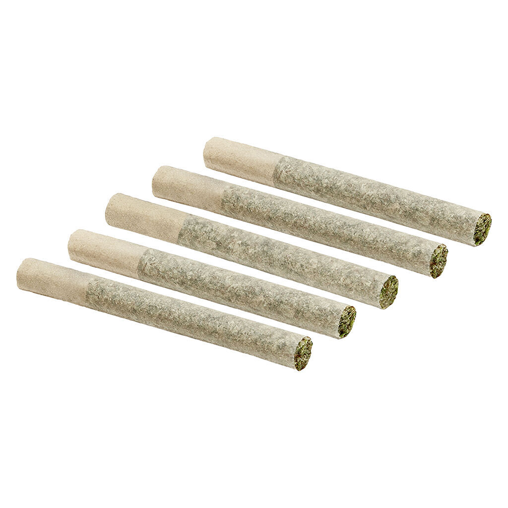 Coastal Cuts: Roll-X (Legends OG x Cookies S1 x Zwish x Georgia Pie) Pre-Roll