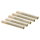 Coastal Cuts: Roll-X (Legends OG x Cookies S1 x Zwish x Georgia Pie) Pre-Roll