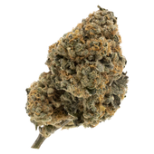 Kandy Cake - Dried Flower