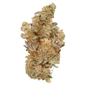 Britney's Frozen Lemons