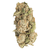 Sherblato (Sherbert x Gelato)