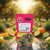 TOBAGRAM SATIVA 1G