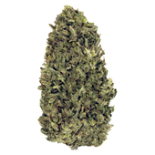 Nostalgia Craft Hemp