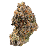 Unicorn Poop Unicorn Poop