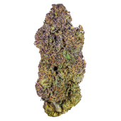 Royal Dive #6: VantaBlack (Fried Applez x Black Diamond)