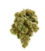 Spinach PEACH GELATO Sativa Flower - 3.5 g