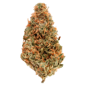 Ak-47 (All Kush 47 x Thai)