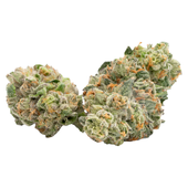AK 47