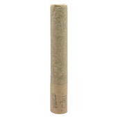 THUMBS UP INDICA (Banana Baby) PR 2X1G