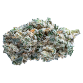 Kush Breath (Durban Poison x Girl Scout Cookies x OG Kush)