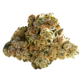 Alien Kush