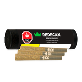 Beach Crasher Pre-Roll