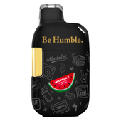 Watermelon Z Disposable [Live Resin] | 1g