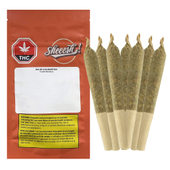 Dia De Los Muertos Pre-Roll
