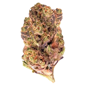 Grape Pie
