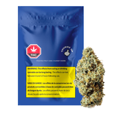 Frosted Fruit Cake x Sunset Sherb