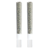 Gold Cash Gold & Pure Michigan Glass Tip Pre-Roll Mix Pack