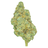 San Rafael '71 Rotational