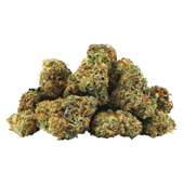 Electric Lotus Smalls (Eye Candy x Jah Magic)