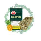 PURE SUN FARMS Kush God (Pineapple God X Pink Kush) 7g