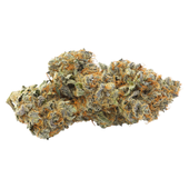 Kim's Sweet Diesel