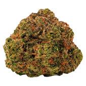 Cool Aid Kush