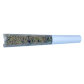 Florida Sunrise Pre-Roll