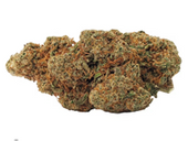 BOLD Munyunz Sativa Flower - 3.5 g