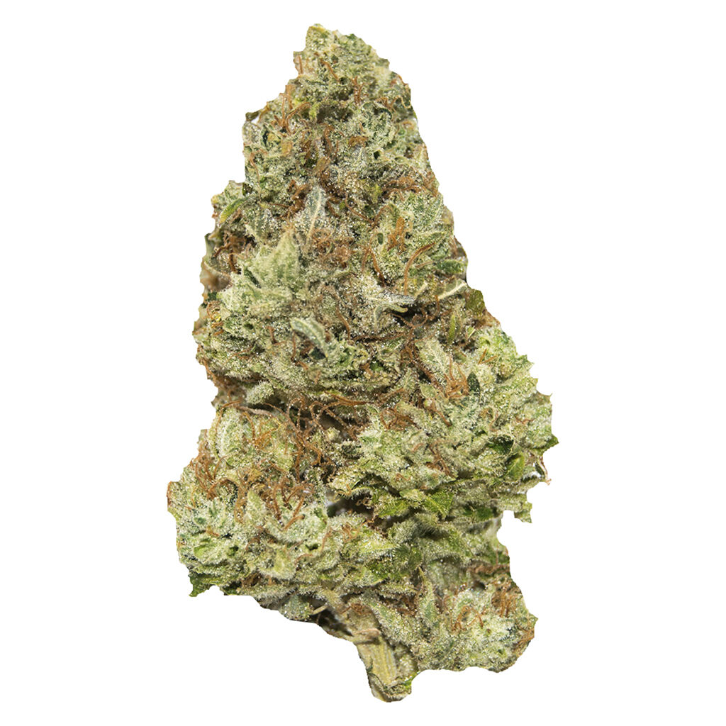 Golden Tangie (Golden Goat x Tangie)