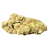 Cherry Pie OG Kush Pre-mium Craft Straight Pre-Roll