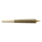 Buddy Blooms - Big Buddy Indica Pre-Roll Indica -2x1g Buddy Blooms - Big Buddy Indica Pre-Roll Indica -2x1g