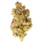 Mosa Orange Punch