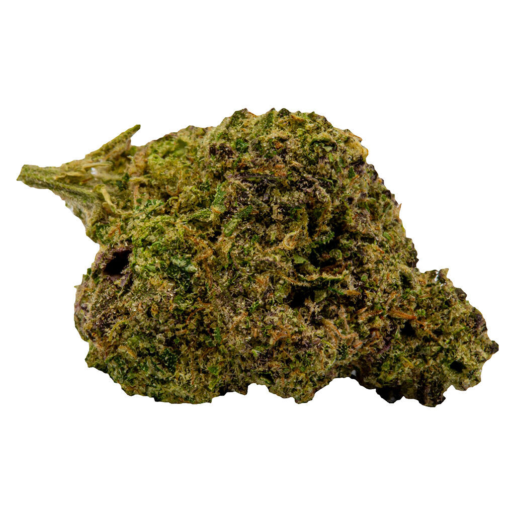 Black Cherry Soda (Black Dahlia x Ace of Spades)