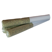 Tropical Meltdown Pre-Roll