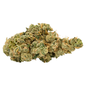Ultra Sour Sativa