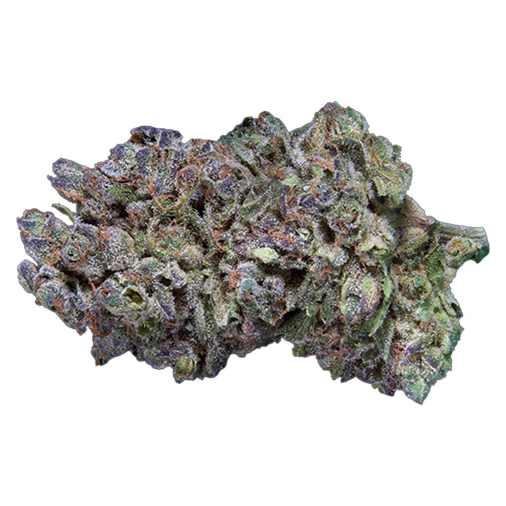 Platinum Gas (Platinum Kush x Gas Mask)