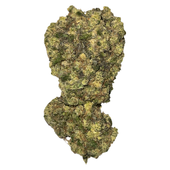 Quantum Haze
