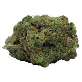Blood Orange Kush