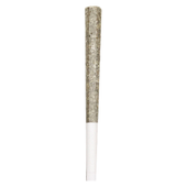 Royal One - Vault Series Pre-Roll