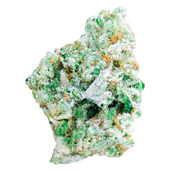 GG (OG Lithium Kush) GG (OG Lithium Kush)