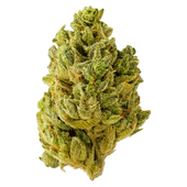 Pacific OG Flower