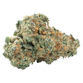 Gasberry Kush (Lemonpaya x Cherry Pie)