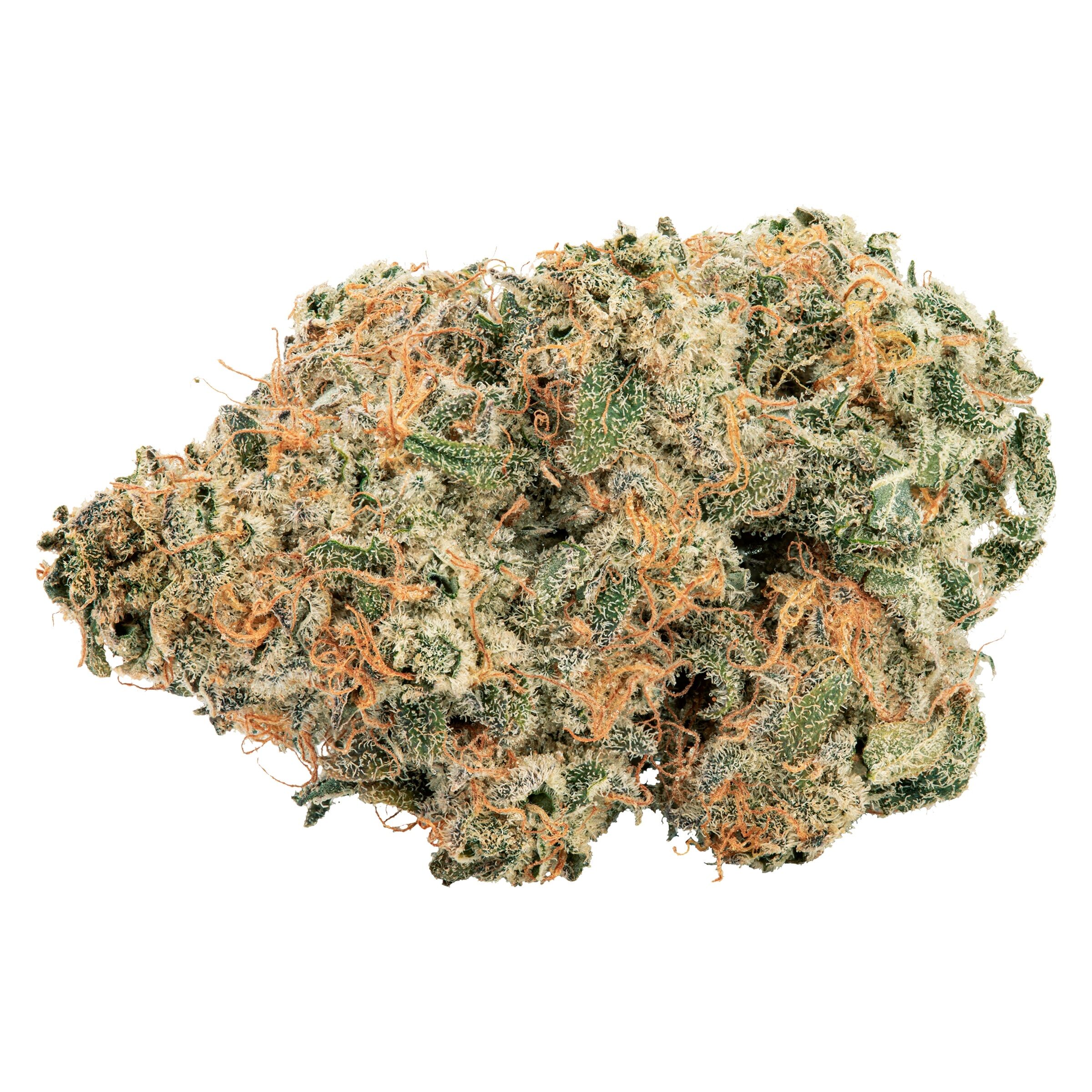 PURPLE CHERRY PUNCH (Sour OG Cheese x Black Cherry Punch)