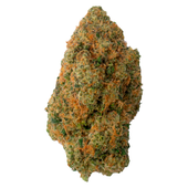 Quarter Zip (Kush Mint)